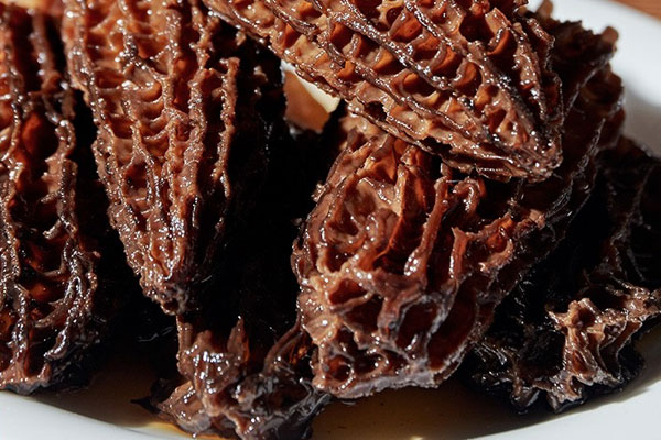 糖尿病人可經常吃羊肚菌湯嗎 糖尿病人可經常吃羊肚菌湯嗎