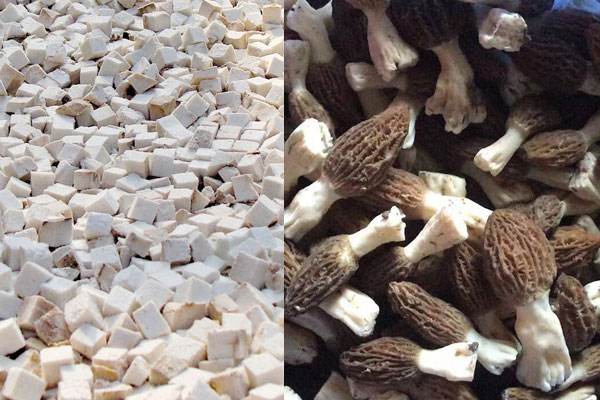 羊肚菌能和茯苓一起煲湯嗎