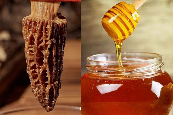 羊肚菌可以和蜂蜜一起吃嗎，血脂高能吃羊肚菌嗎