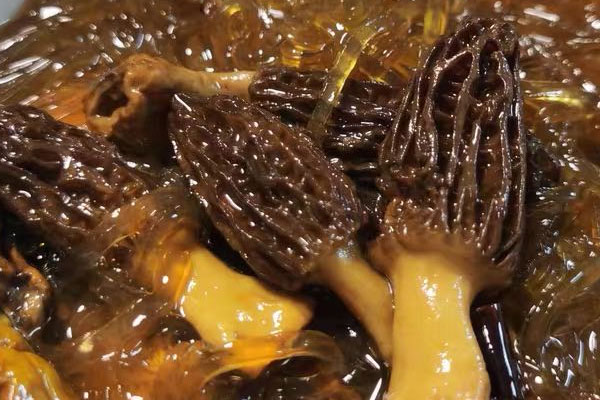 血脂高的人群可以吃羊肚菌嗎