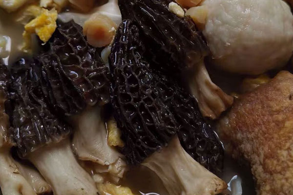 膽固醇高能吃羊肚菌嗎