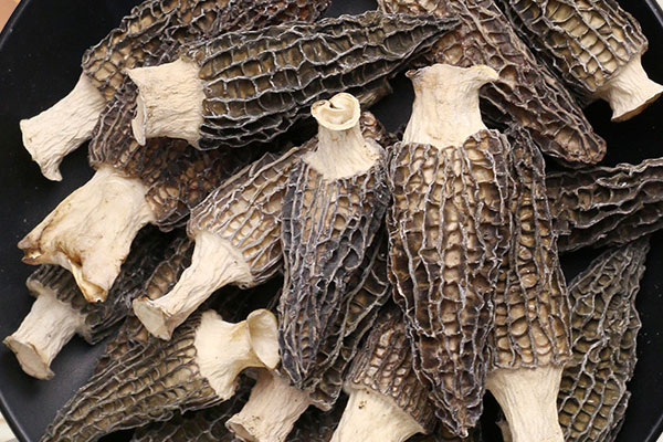 有手術(shù)刀口能吃羊肚菌嗎