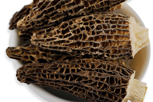 白血病人能夠吃羊肚菌嗎