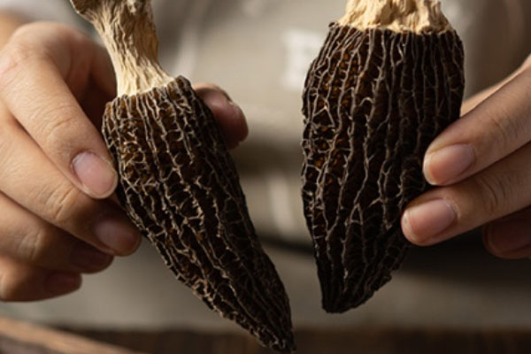 鼻炎過敏的人可以吃羊肚菌嗎 鼻炎過敏的人可以吃羊肚菌嗎