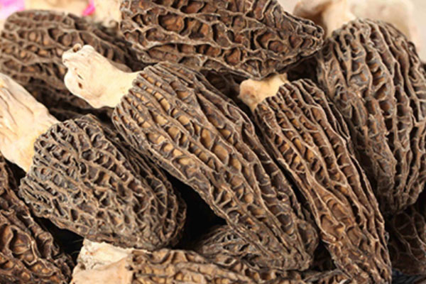 濕疹可以吃羊肚菌嗎 濕疹可以吃羊肚菌嗎