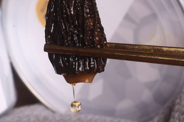 懷孕早期可以吃羊肚菌嗎 懷孕早期可以吃羊肚菌嗎