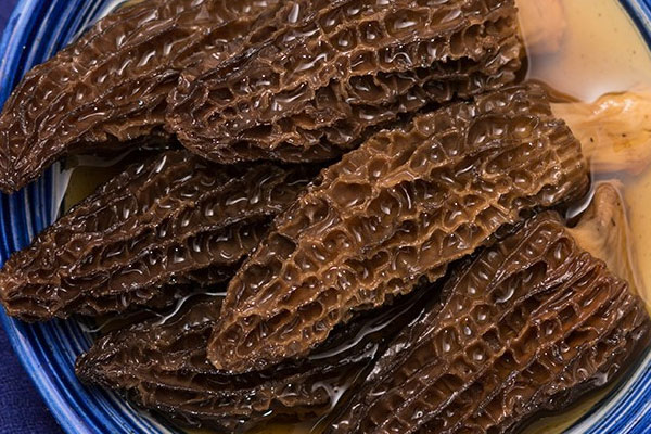 小孩感冒可以吃羊肚菌湯嗎 小孩感冒可以吃羊肚菌湯嗎