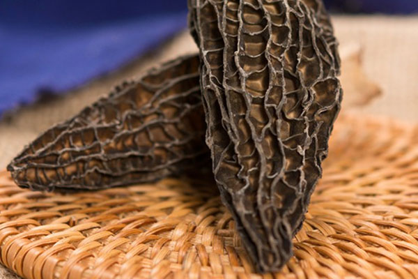 羊肚菌沒泡發(fā)直接燉湯可以嗎，咳嗽可以喝羊肚菌湯嗎