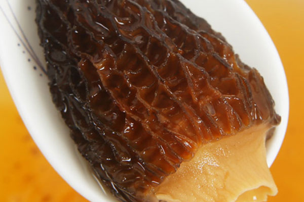 小孩子發(fā)燒可以喝羊肚菌湯嗎