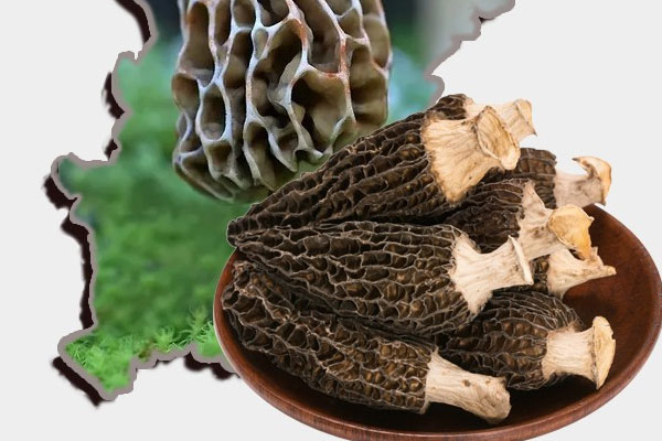 1歲嬰兒能吃羊肚菌嗎，羊肚菌能煮粥嗎