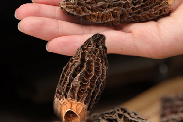 羊肚菌可以煮粥嗎 羊肚菌可以煮粥嗎