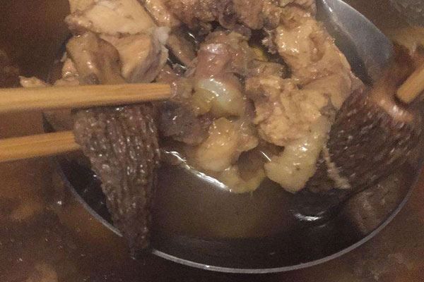 羊肚菌可以燉阿膠嗎