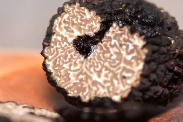 松露對男人有什么功效，男人吃黑松露補腎嗎