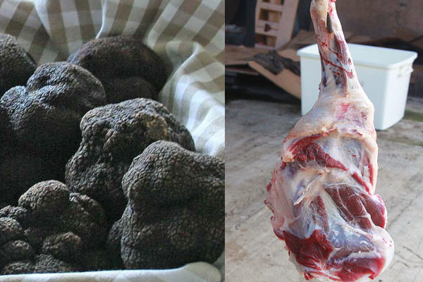 黑松露和羊肉能一起吃嗎 黑松露和羊肉能一起吃嗎