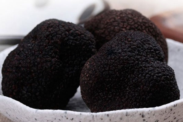 男人吃黑松露可以補腎嗎 男人吃黑松露可以補腎嗎