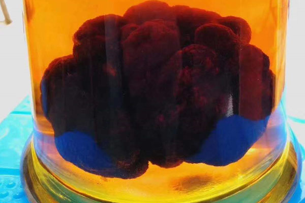 黑松露泡酒能放5年再喝嗎 黑松露泡酒能放5年再喝嗎