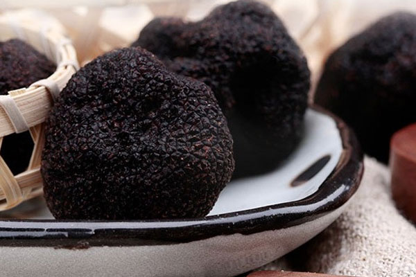 黑松露泡酒可以放5年再喝嗎，松露對人體有什么好處