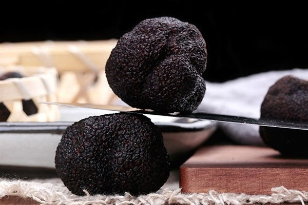 吃黑松露可以緩解白帶嗎 吃黑松露可以緩解白帶嗎
