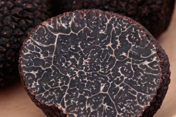 松露對腸胃有哪些好處 松露對腸胃有哪些好處