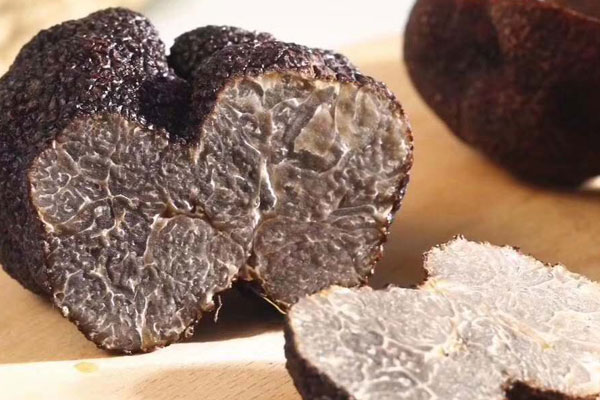 松露對(duì)心臟好嗎 松露對(duì)心臟好嗎