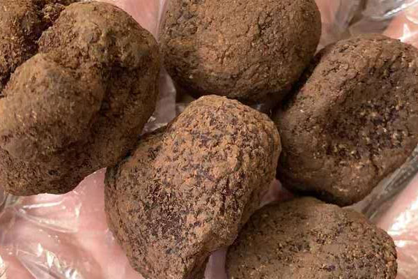 松露對(duì)傷口有影響嗎 松露對(duì)傷口有影響嗎