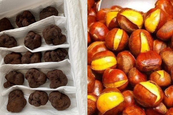 松露可以和板栗一起吃嗎 松露可以和板栗一起吃嗎