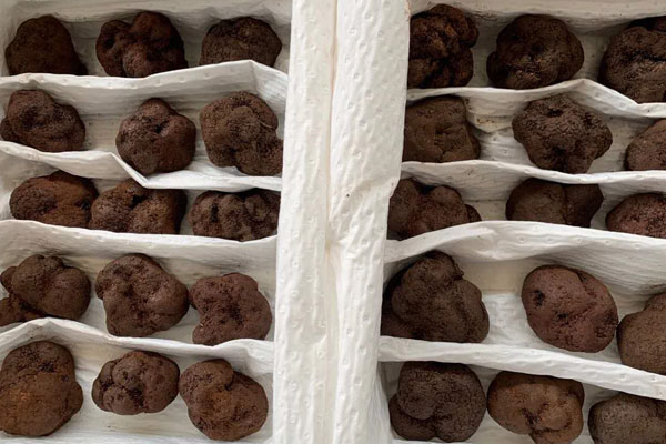 胃不好的人吃松露會引起脹氣嗎 胃不好的人吃松露會引起脹氣嗎