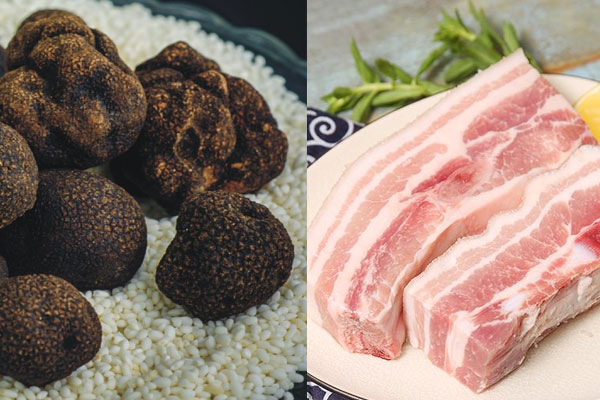 松露可以和五花肉一起紅燒嗎，胃不好吃松露會脹氣嗎