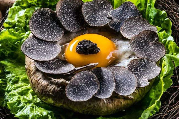 松露能和鴨蛋一起炒嗎 松露能和鴨蛋一起炒嗎