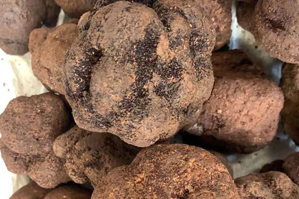 新鮮松露不馬上吃放冷凍還是冷藏好