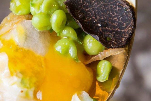 松露能和鵝蛋一起吃嗎 松露能和鵝蛋一起吃嗎