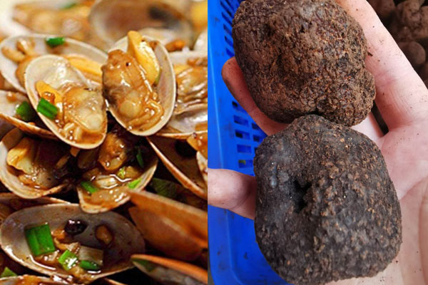 松露炒蛤蜊的做法 松露炒蛤蜊的做法