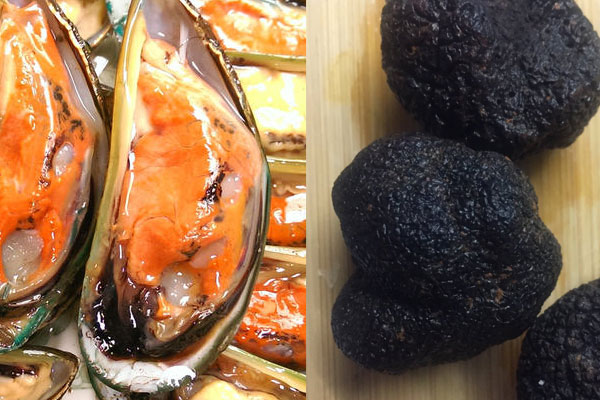 松露能和海虹一起吃嗎，松露可以和瑤柱一起煮湯嗎