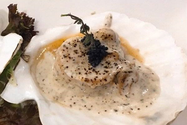 松露蒸扇貝的食用禁忌 松露蒸扇貝的食用禁忌