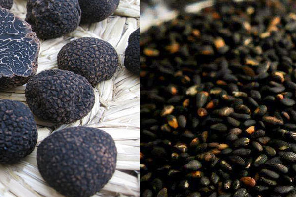 松露能和芝麻一起吃嗎 松露能和芝麻一起吃嗎