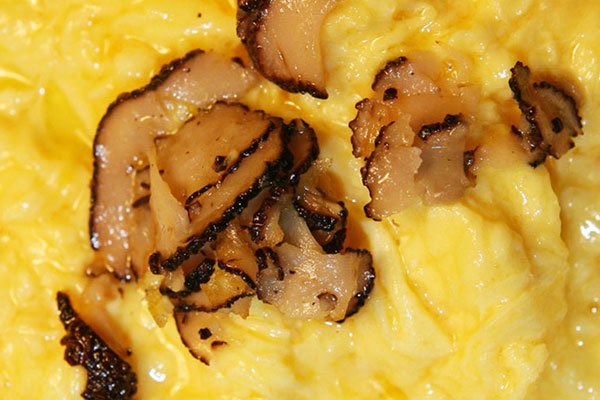 女性可以長期吃松露嗎，血糖高的人能吃松露嗎