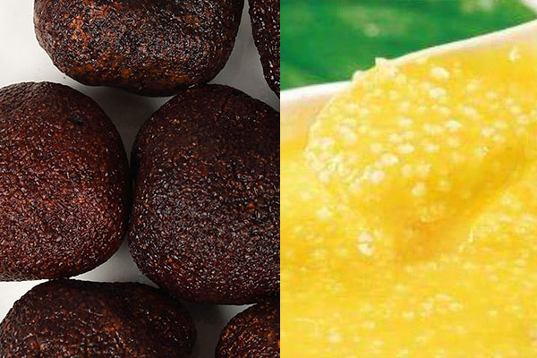 松露能和小米一起煮粥嗎 松露能和小米一起煮粥嗎