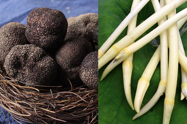 松露炒藕帶具有哪些食用禁忌 松露炒藕帶具有哪些食用禁忌