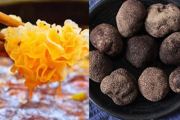 松露可以和銀耳一起涮火鍋嗎，銀耳泡多久最好煮火鍋