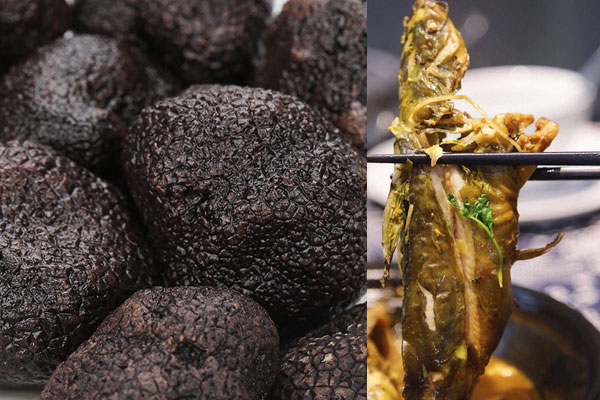 松露可以蒸黃骨魚嗎，松露搭配黃骨魚同吃的禁忌