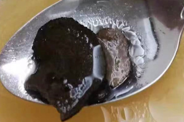 松露黃豆湯的禁忌 松露黃豆湯的禁忌