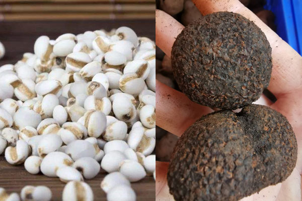 松露能和薏米一起煮湯嗎