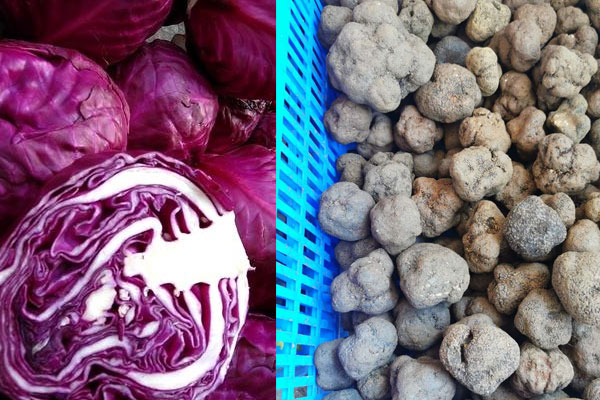 松露能和紫甘藍(lán)一起做沙拉吃嗎 松露能和紫甘藍(lán)一起做沙拉吃嗎