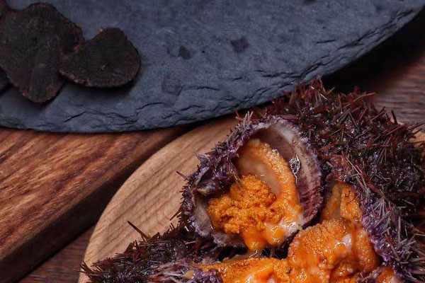 松露可以和海膽一起吃嗎，松露蒸海膽的禁忌食物