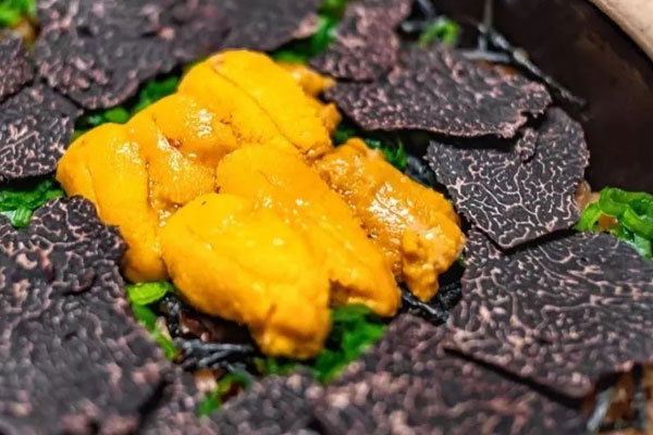 松露蒸海膽不能和哪些食物一起吃