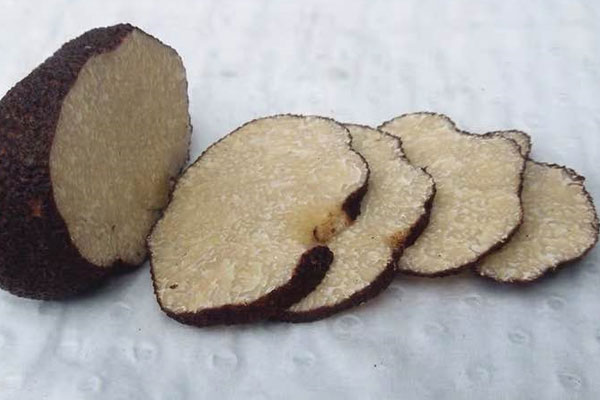 黑松露吃了能增大嗎，黑松露的副作用和禁忌