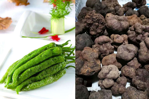 松露搭配杭椒具有哪些功效作用