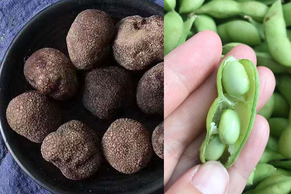 松露可以和毛豆一起吃嗎，具有哪些食用禁忌