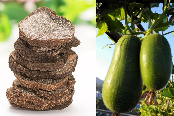 松露可以和節(jié)瓜同吃嗎，具有哪些食用禁忌