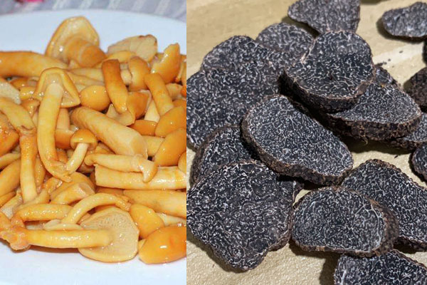 松露炒滑子菇要焯水嗎